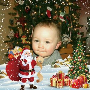 Meet your Posher, Bertha